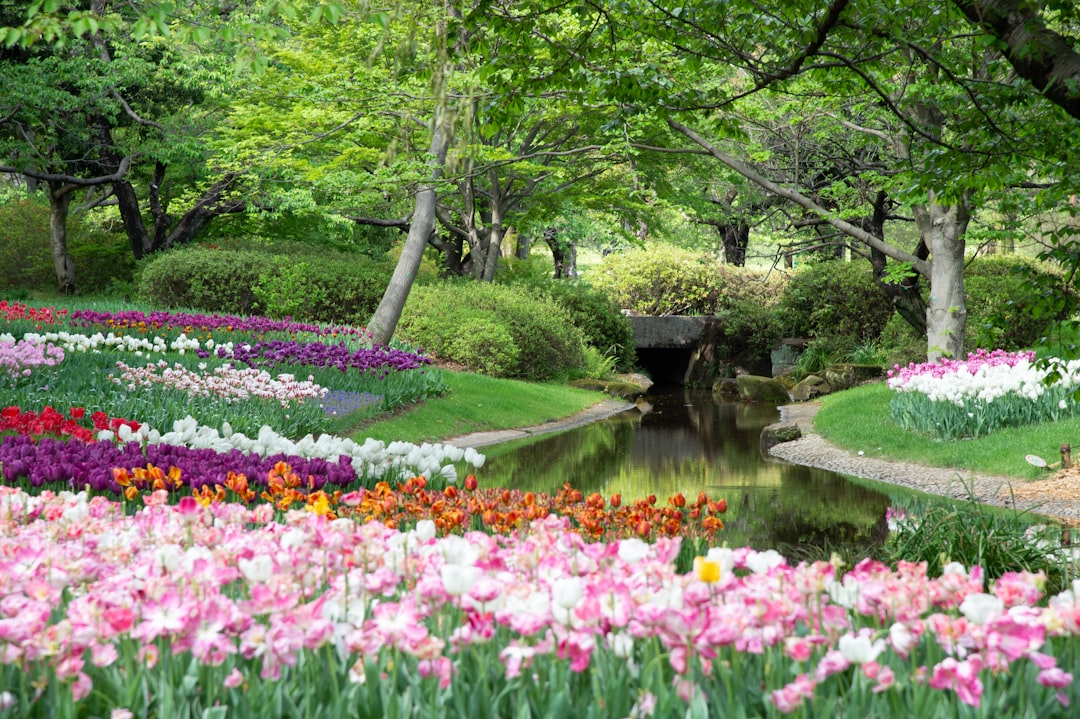Een tuin inrichten die bij jou past: zo pak je het aan